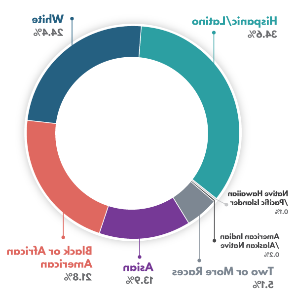 Student Demographics 2022-2023